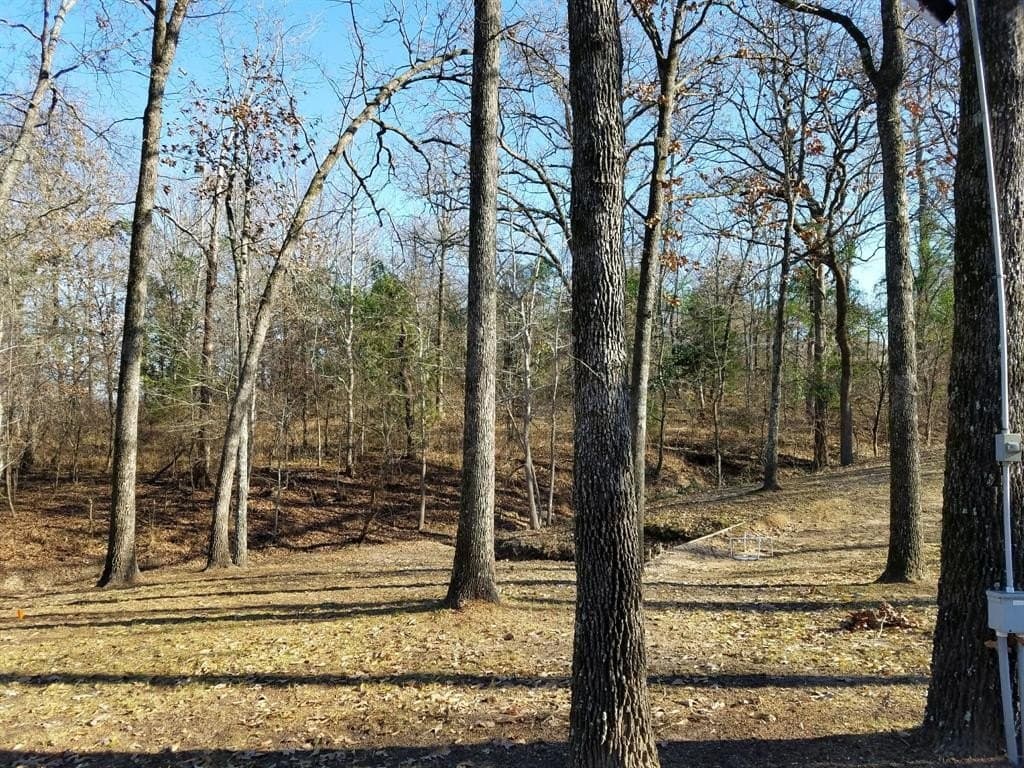0.52 acres in Wood County - photo 6