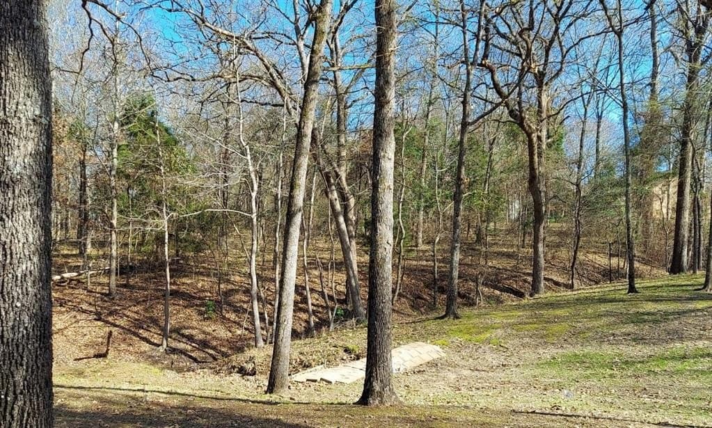 0.52 acres in Wood County - photo 3