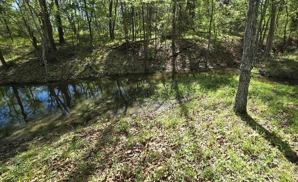 0.52 acres in Wood County - photo 4