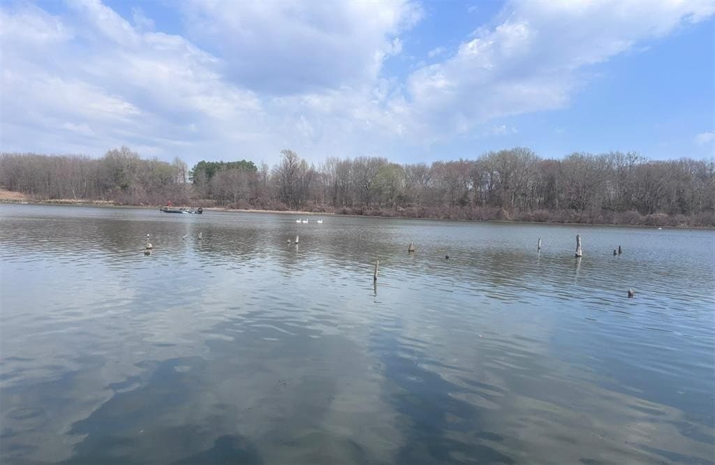 0.52 acres in Wood County - photo 23