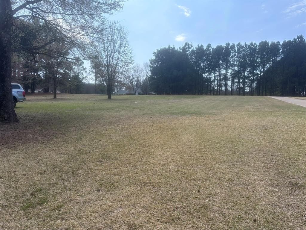 0.52 acres in Wood County - photo 2