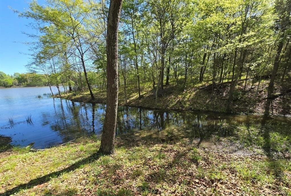 0.52 acres in Wood County - photo 5