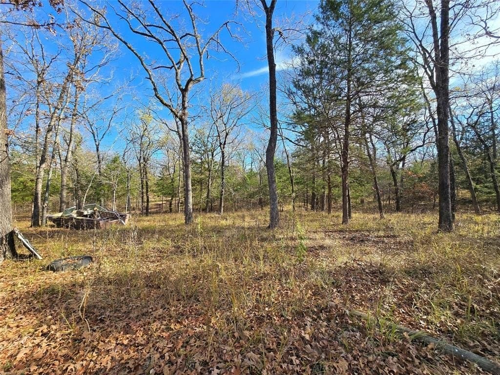 2 acres in Van Zandt County - photo 7