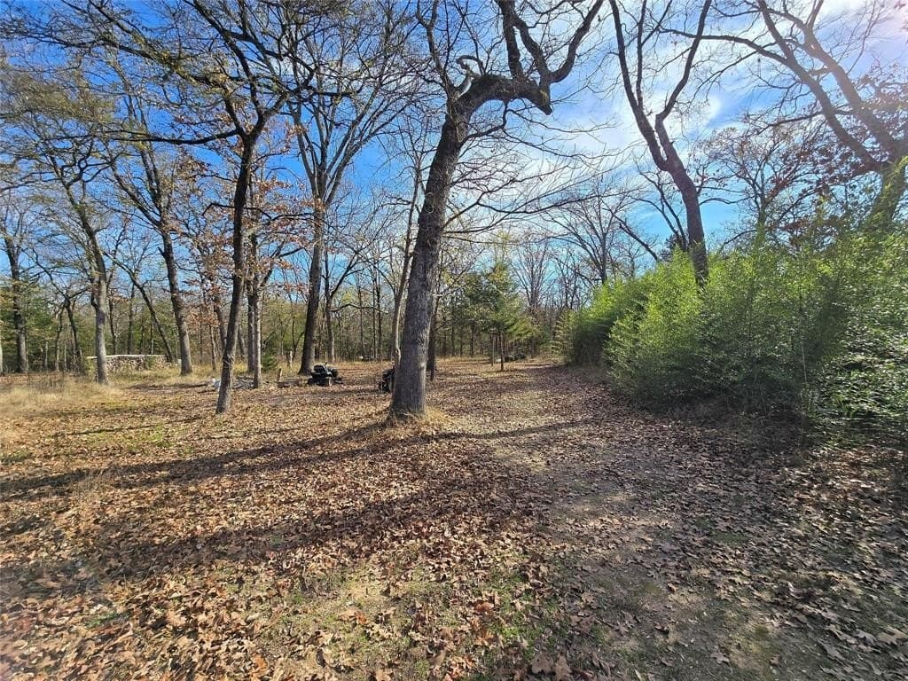 2 acres in Van Zandt County - photo 4
