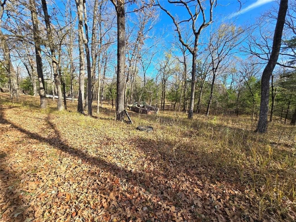 2 acres in Van Zandt County - photo 3