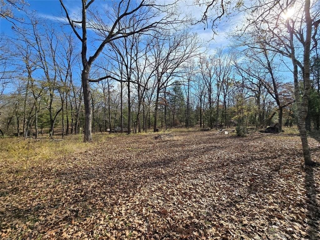 2 acres in Van Zandt County - photo 6