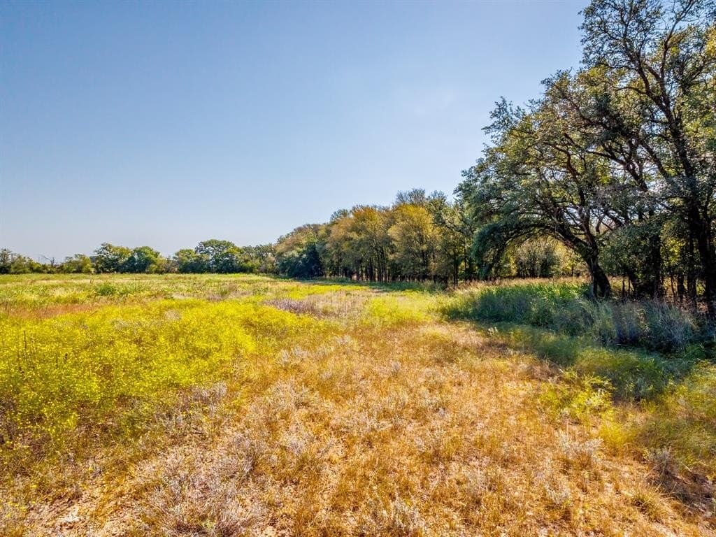 43 acres in Comanche County - photo 5