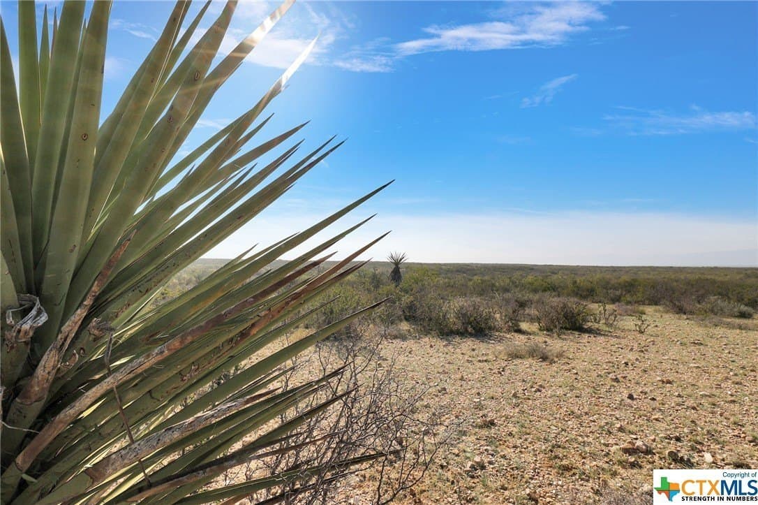2,735.55 acres in Maverick County - photo 29