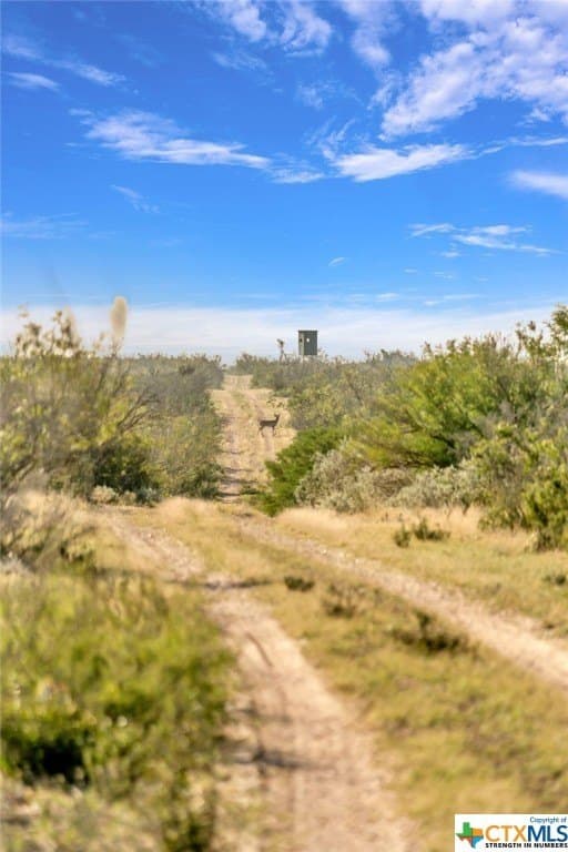 2,735.55 acres in Maverick County - photo 31