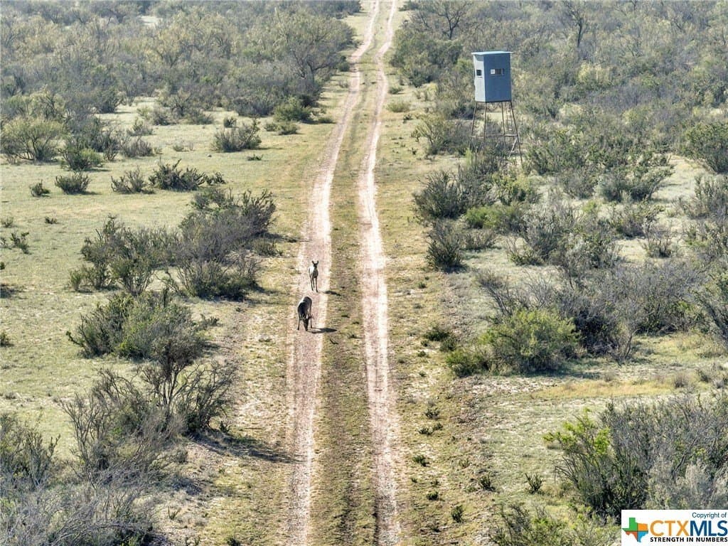 2,735.55 acres in Maverick County - photo 32
