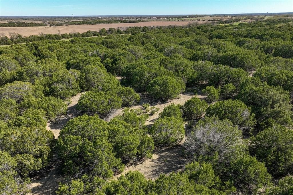 13.58 acres in McLennan County - photo 5
