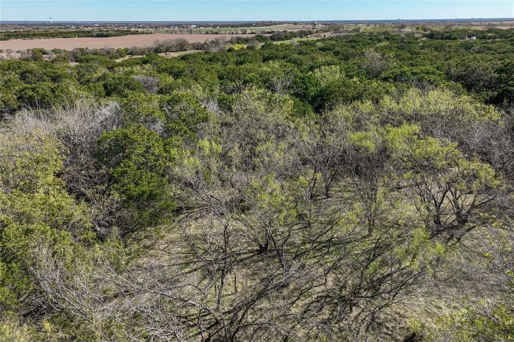13.58 acres in McLennan County - photo 6