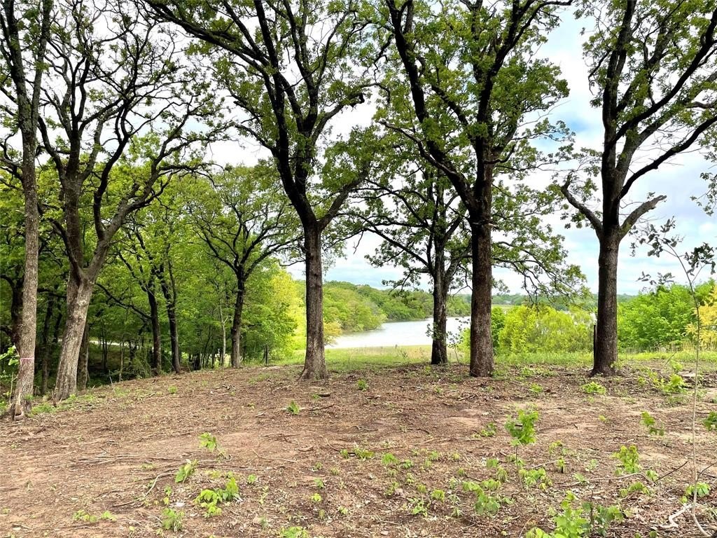 1.72 acres in Grayson County - photo 10