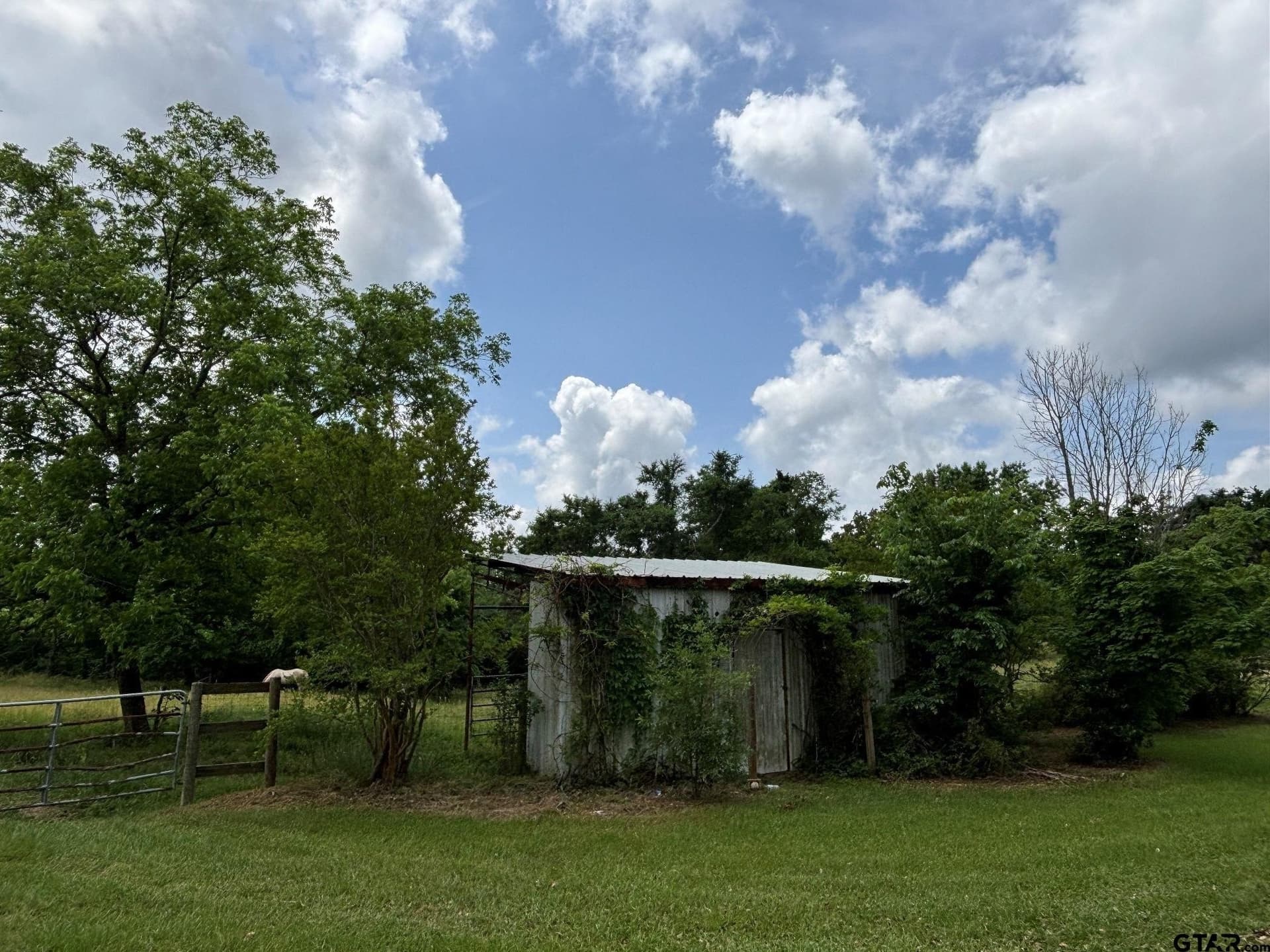 13.1 acres in Cherokee County - photo 29