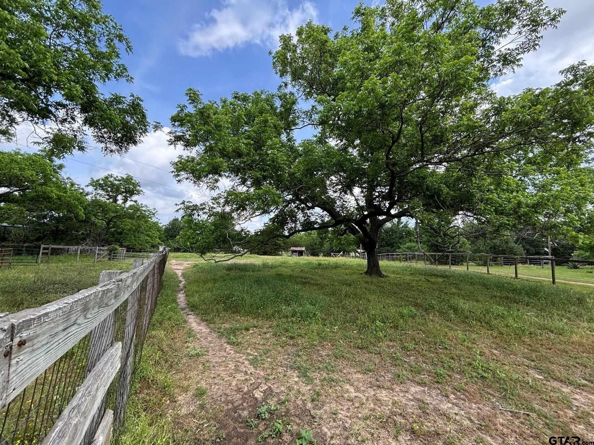 13.1 acres in Cherokee County - photo 26