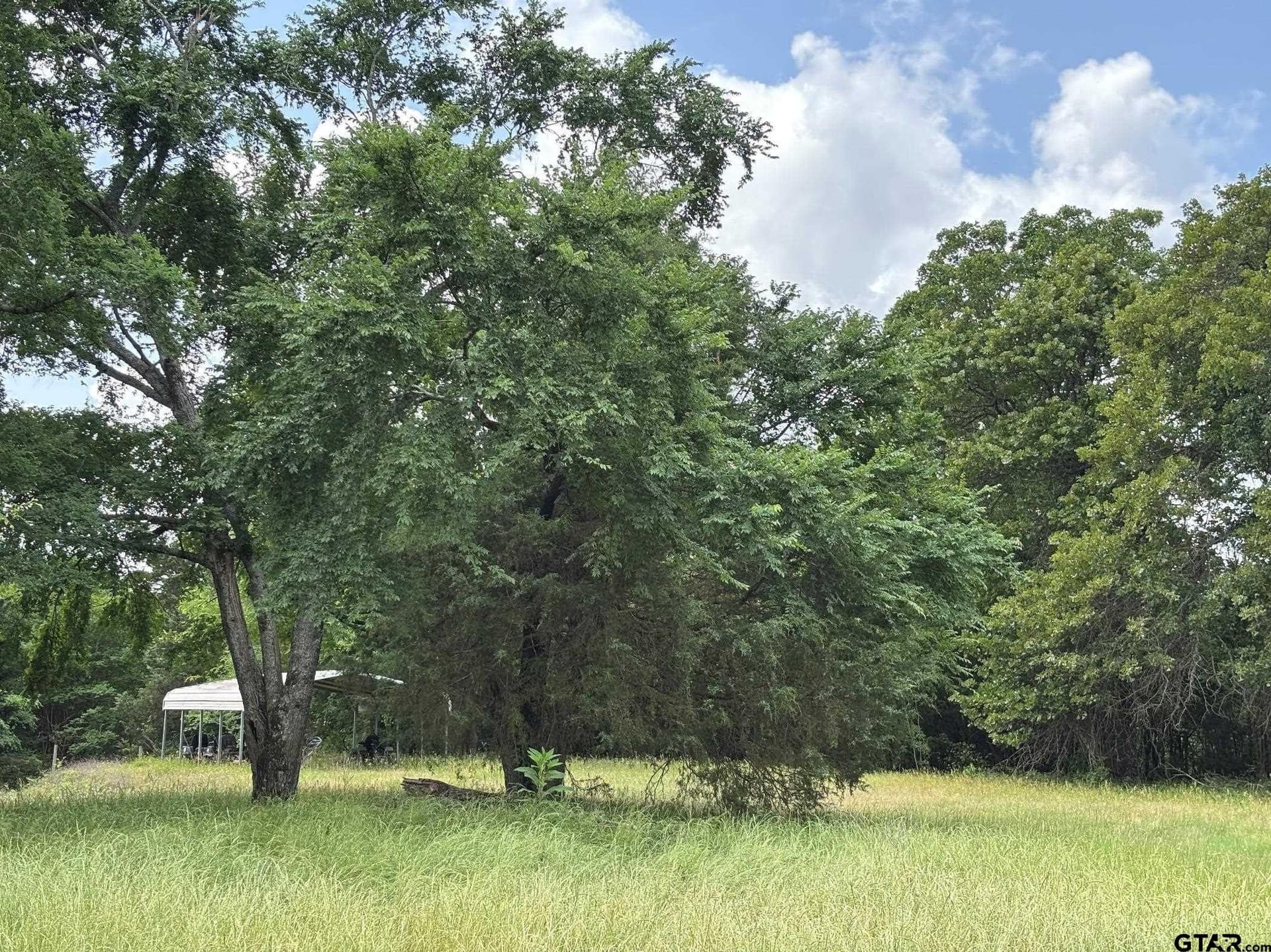 13.1 acres in Cherokee County - photo 32
