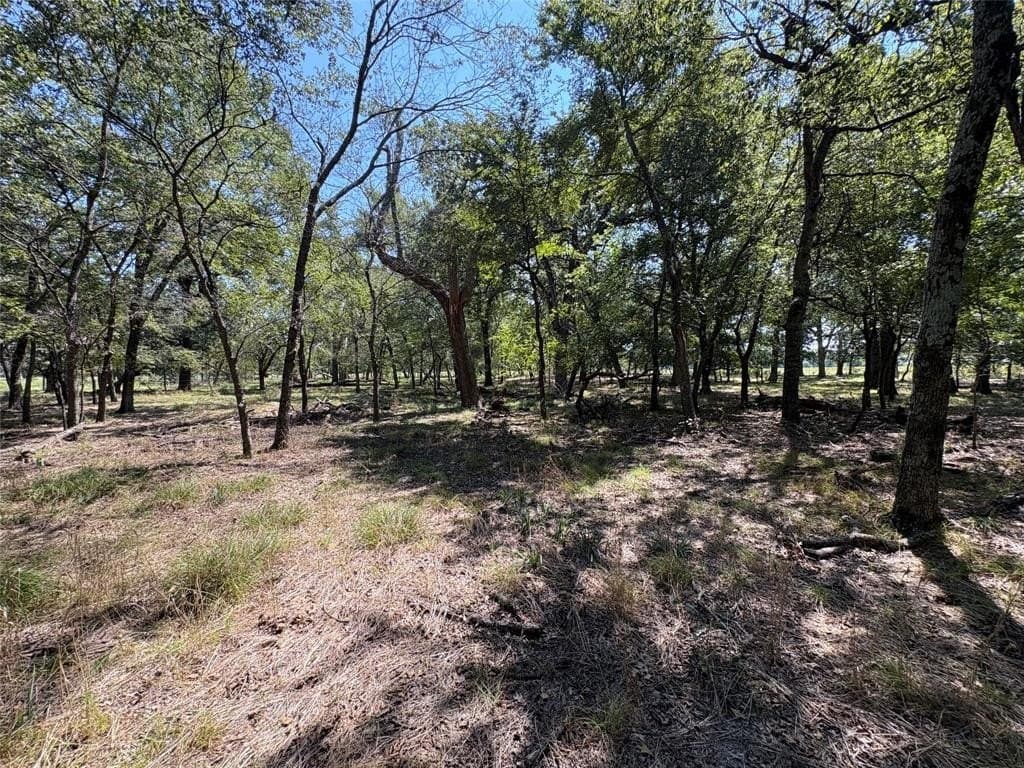 22.2 acres in Hopkins County - photo 5
