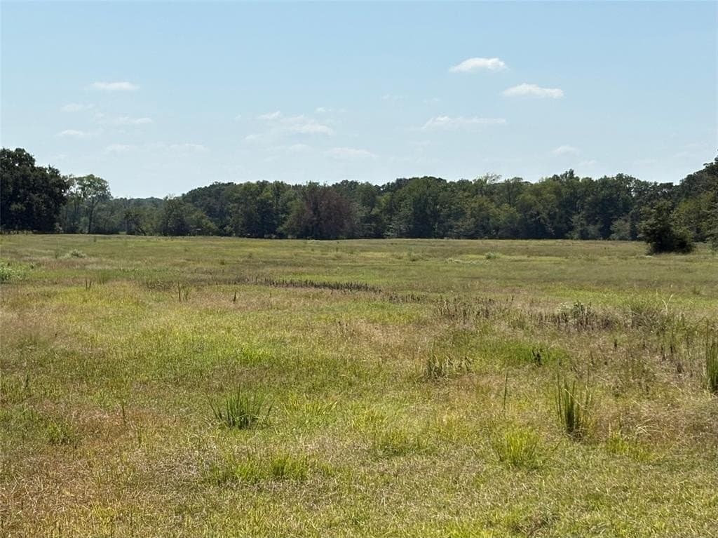 22.2 acres in Hopkins County - photo 11