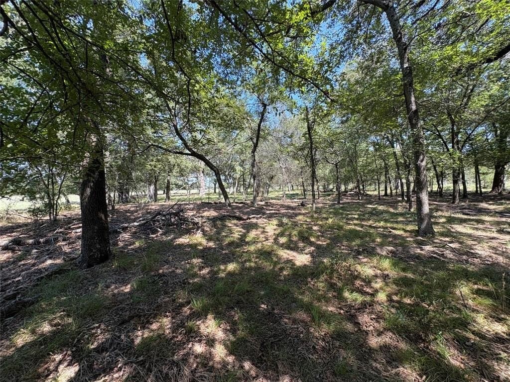 22.2 acres in Hopkins County - photo 6