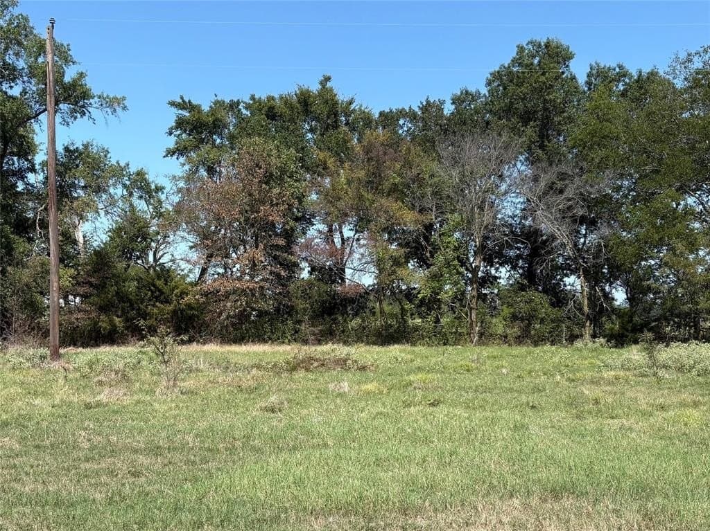22.2 acres in Hopkins County - photo 3