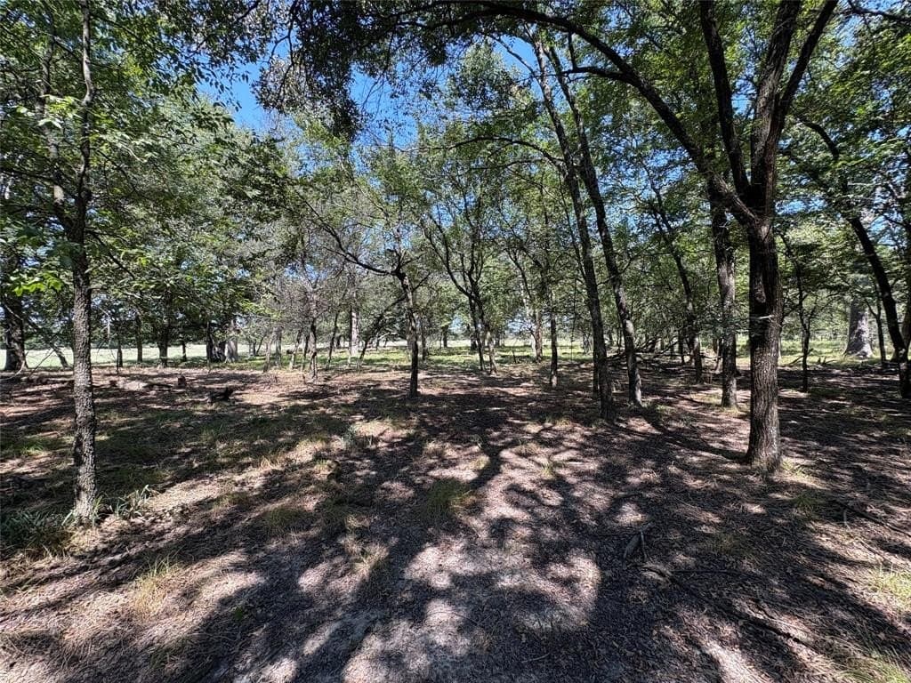 22.2 acres in Hopkins County - photo 4