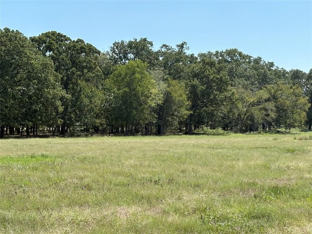 22.2 acres in Hopkins County - photo 2