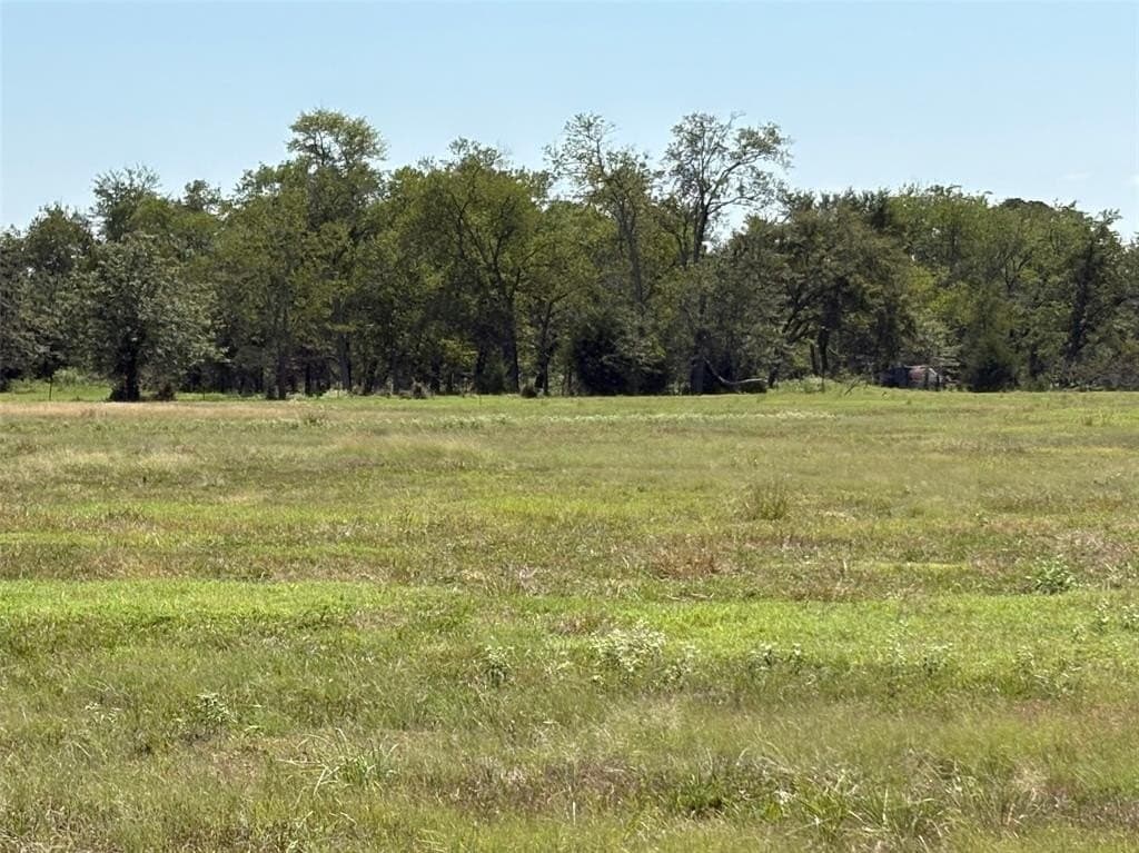 22.2 acres in Hopkins County - photo 10