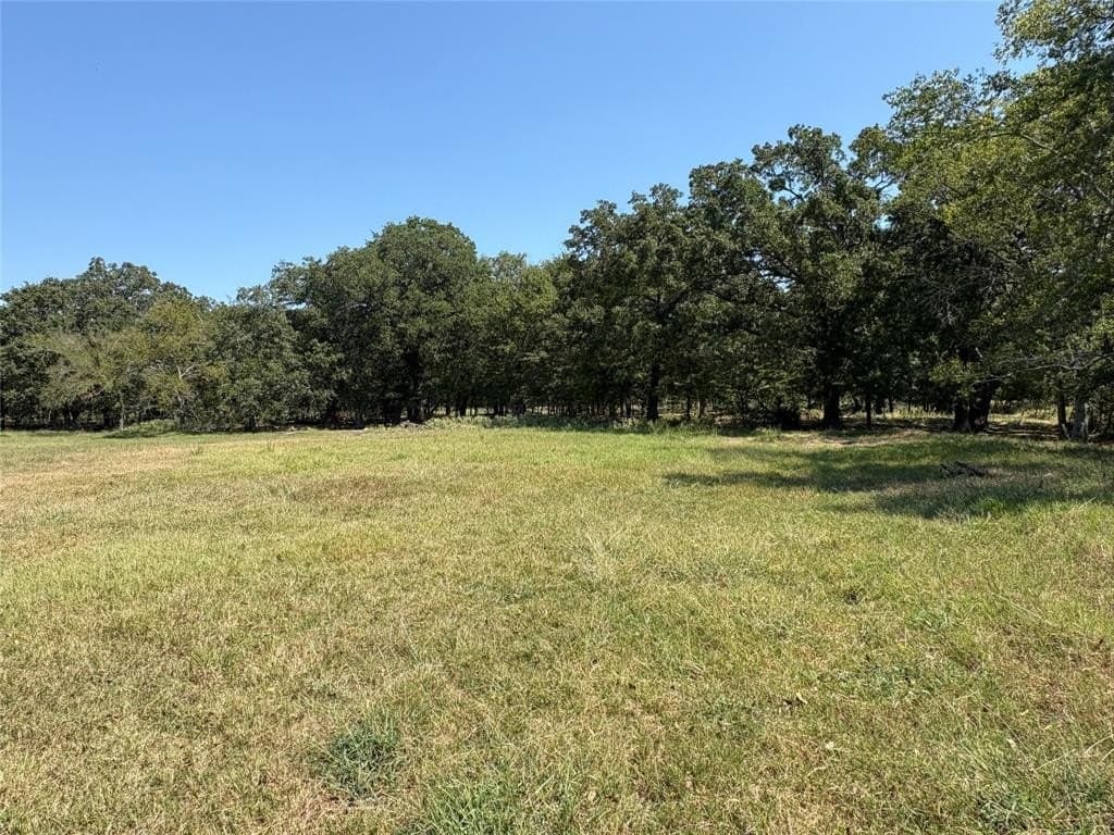 22.2 acres in Hopkins County - photo 7