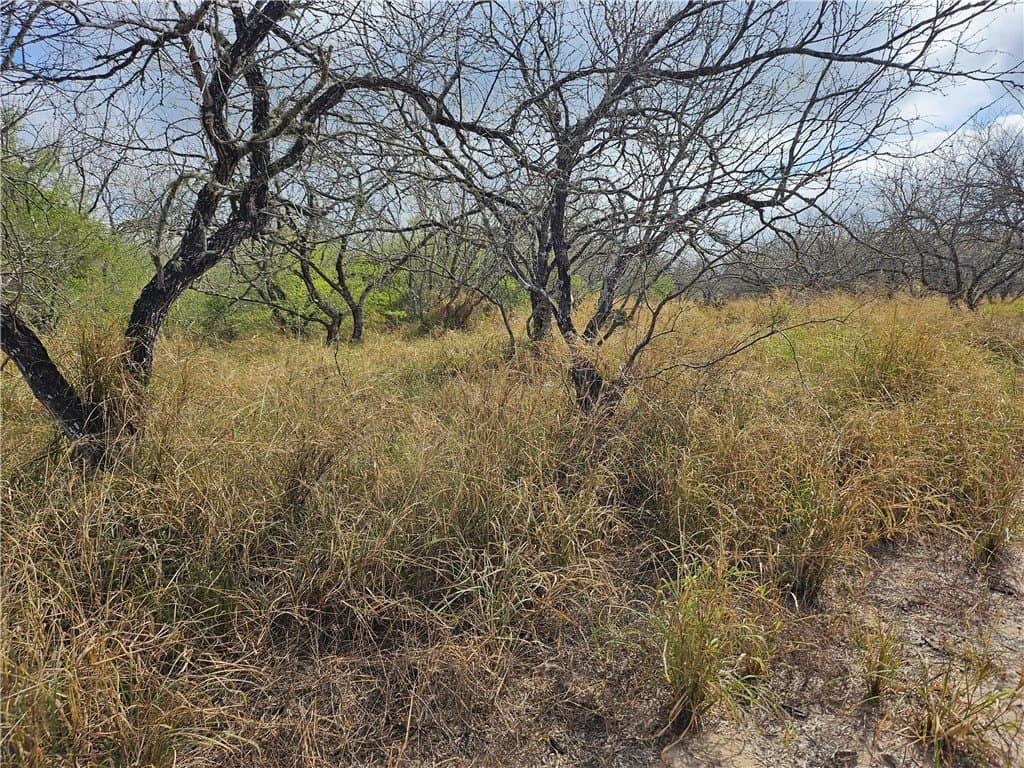 111 acres in Duval County - photo 3