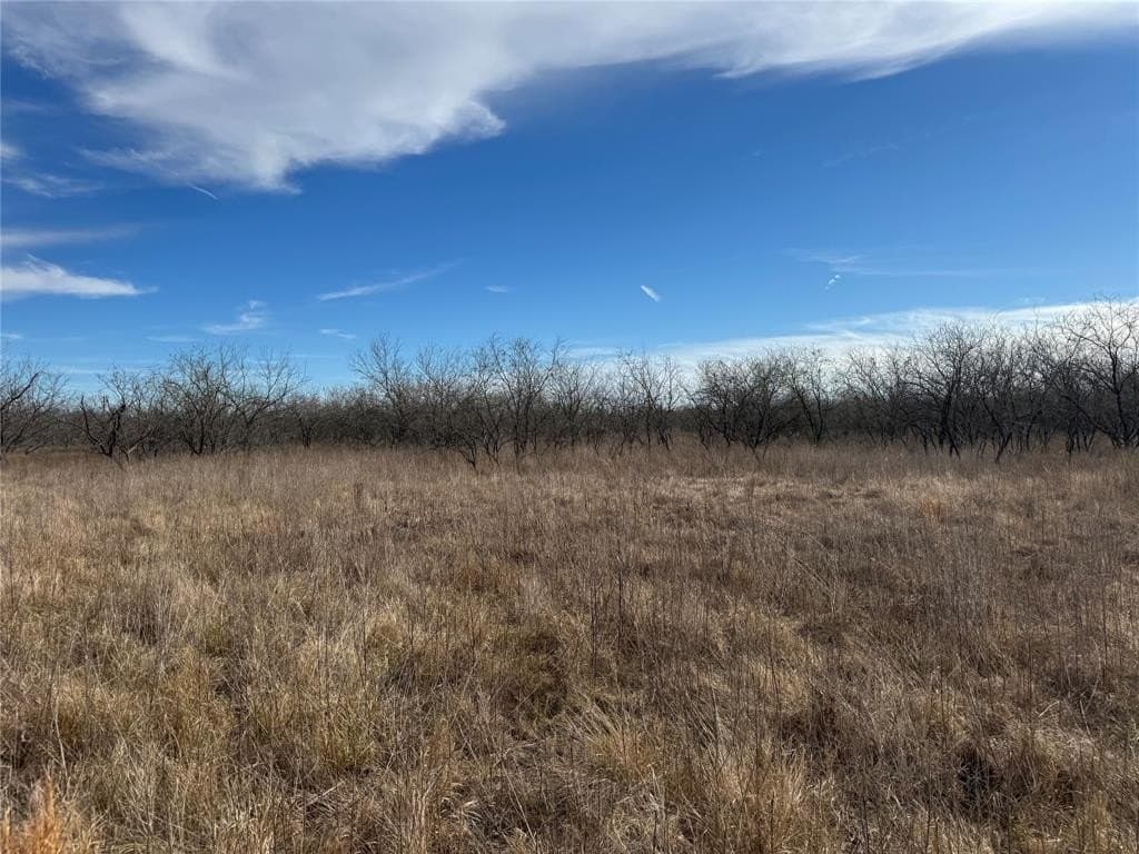 2.29 acres in Navarro County - photo 17