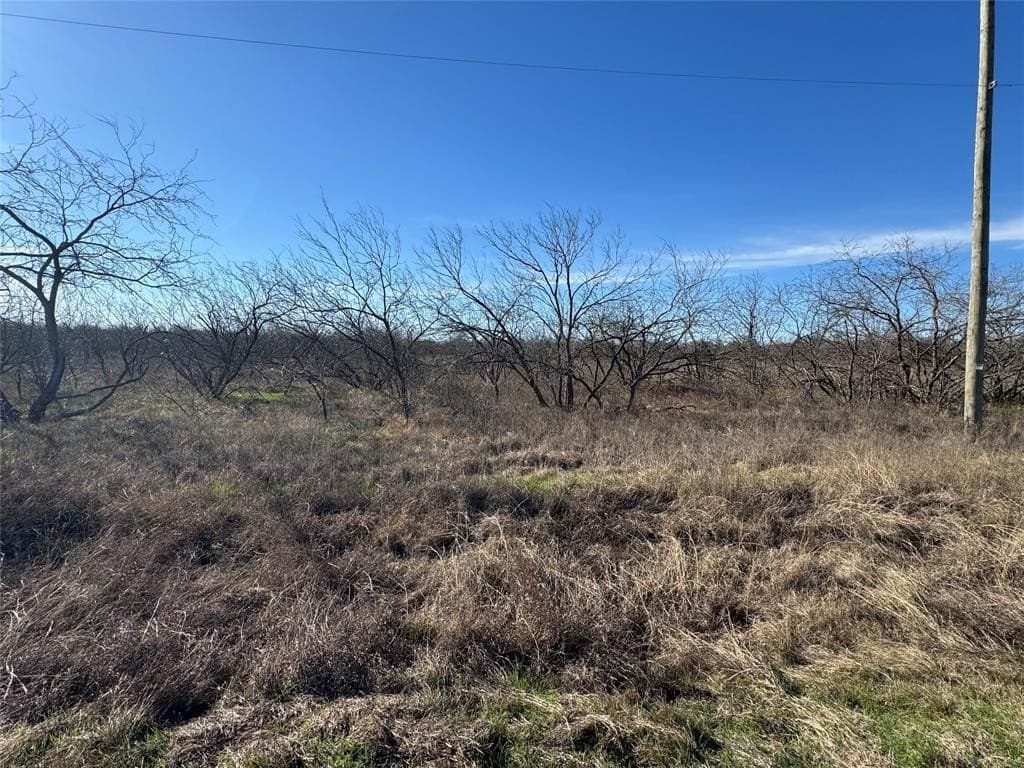 2.29 acres in Navarro County - photo 23