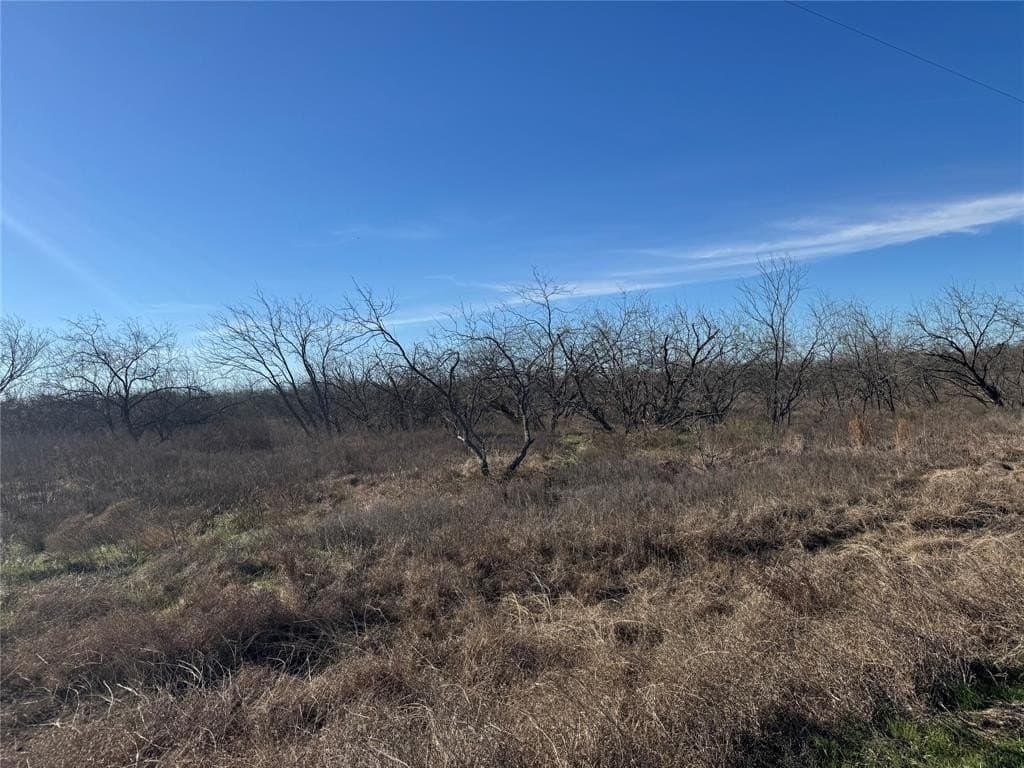2.29 acres in Navarro County - photo 14