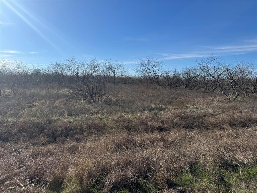 2.29 acres in Navarro County - photo 27