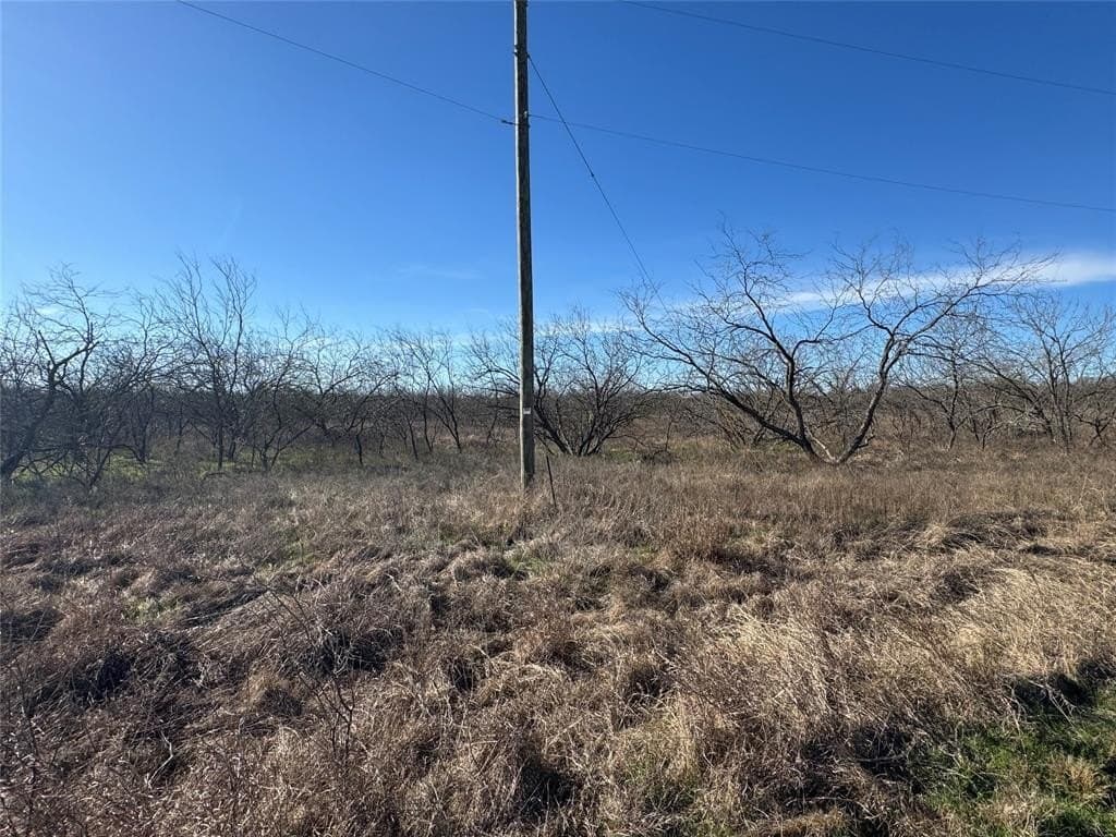 2.29 acres in Navarro County - photo 5