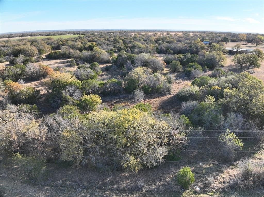 10 acres in Palo Pinto County - photo 2