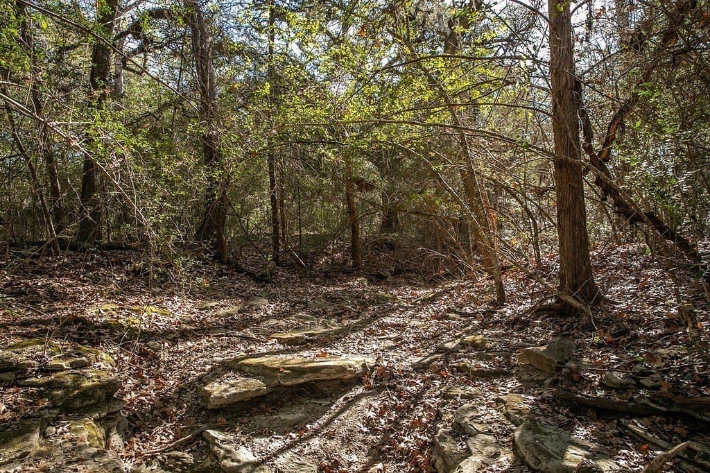 22.15 acres in Washington County - photo 27