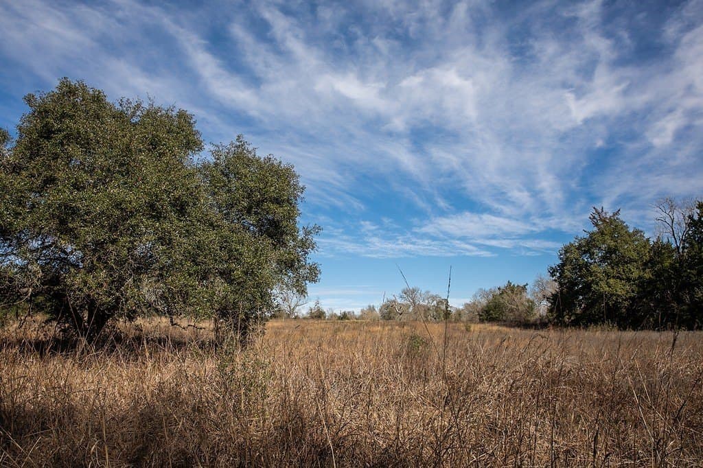 22.15 acres in Washington County - photo 3