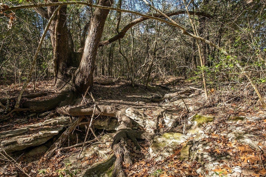 22.15 acres in Washington County - photo 28