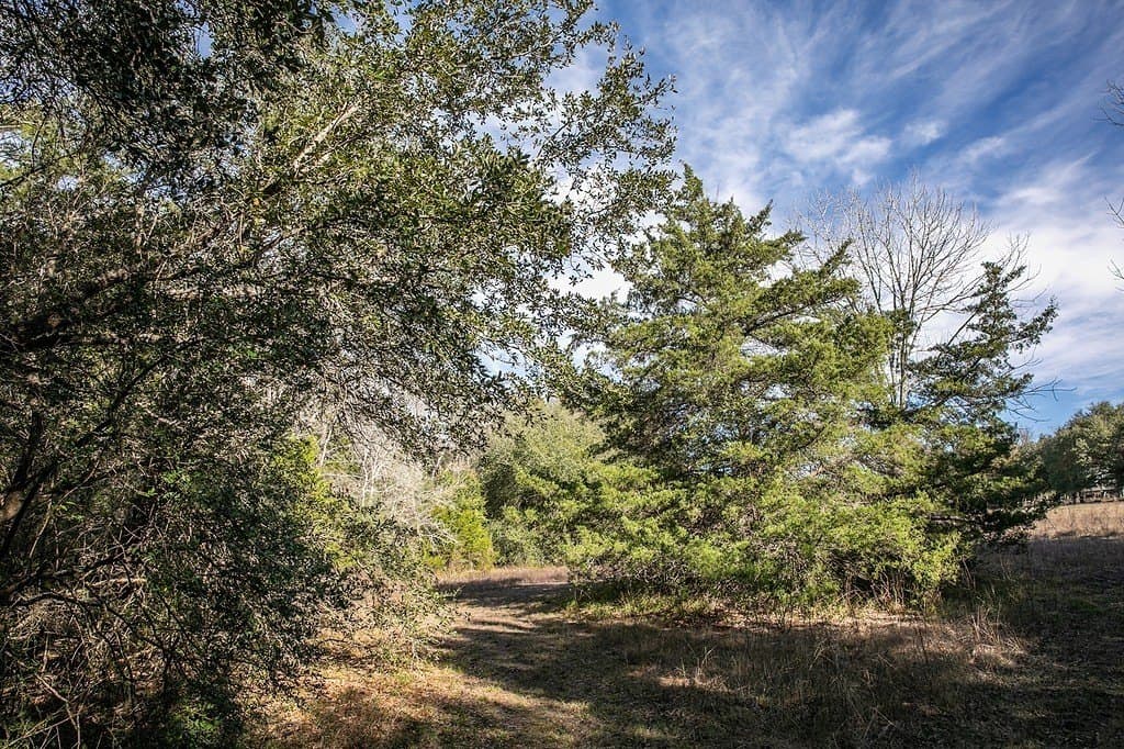 22.15 acres in Washington County - photo 25