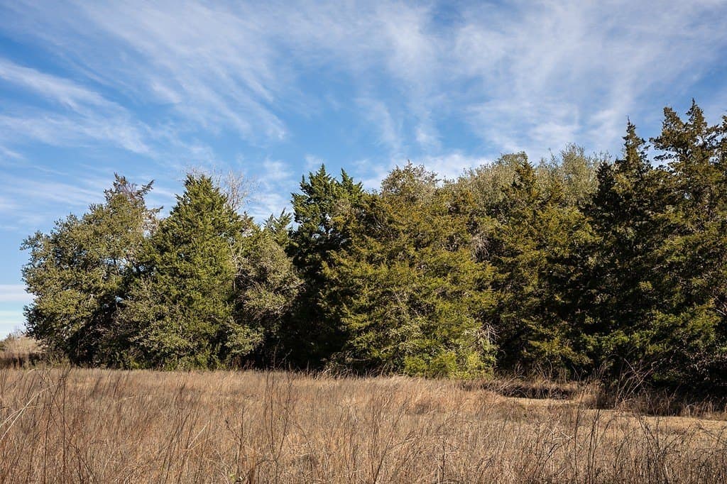 22.15 acres in Washington County - photo 21