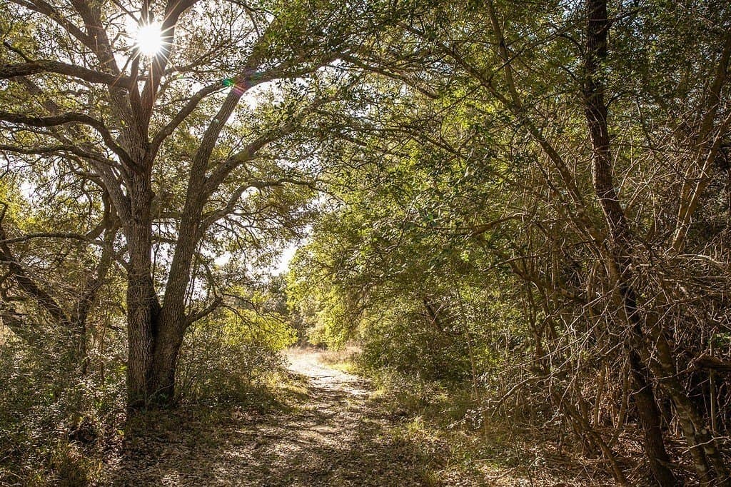 22.15 acres in Washington County - photo 5