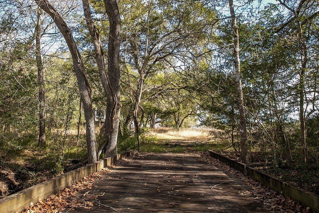 22.15 acres in Washington County - photo 2