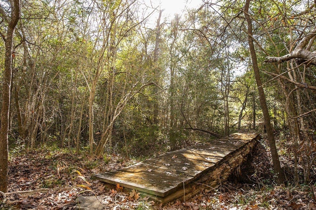 22.15 acres in Washington County - photo 20