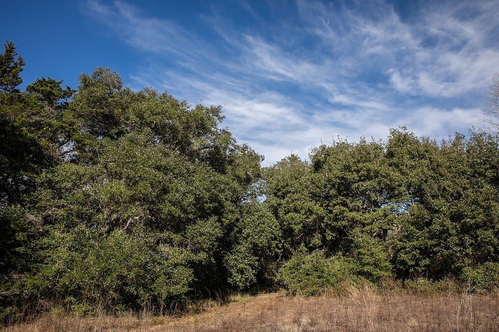 22.15 acres in Washington County - photo 4