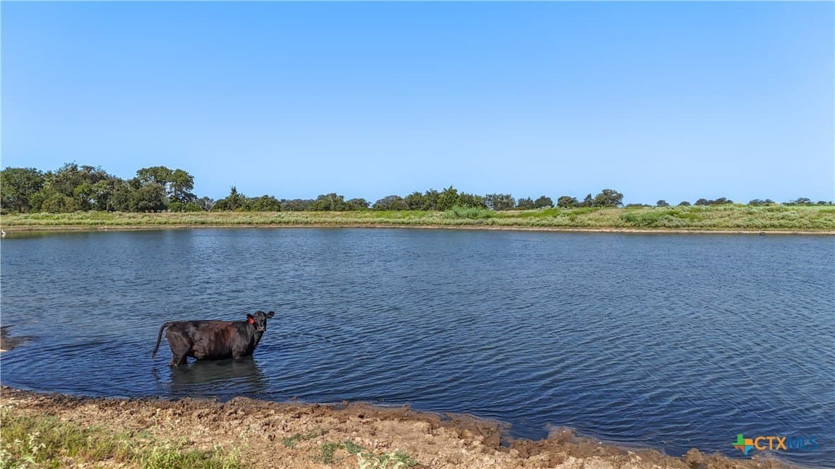 17.64 acres in Lee County - photo 3