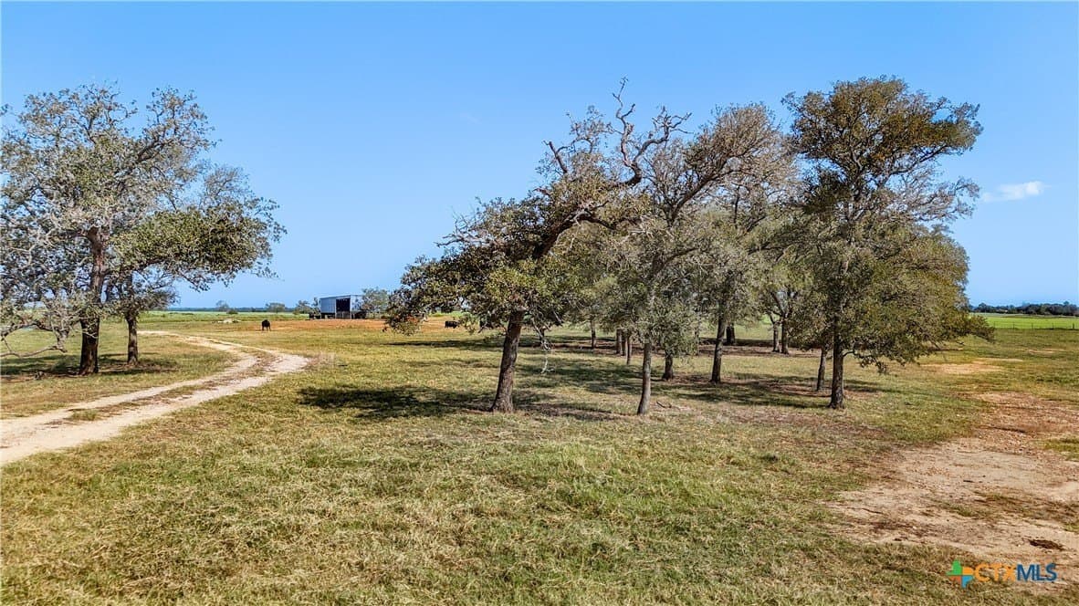 17.64 acres in Lee County - photo 10