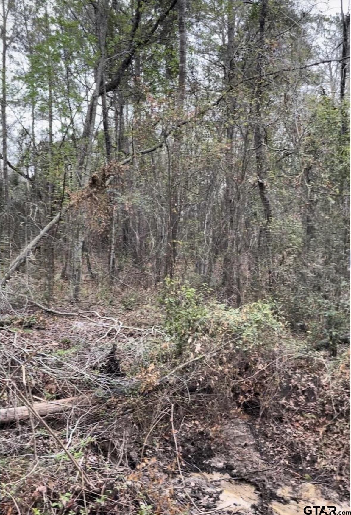 17.47 acres in Smith County - photo 12