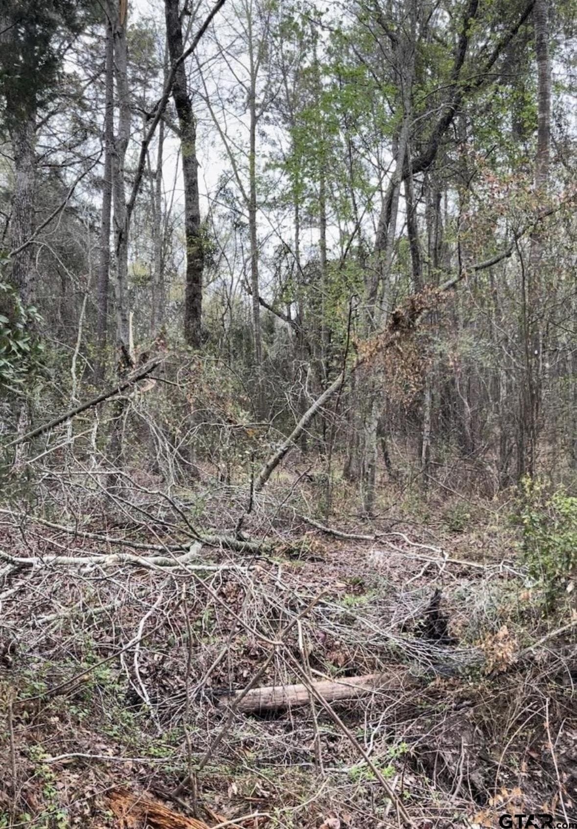 17.47 acres in Smith County - photo 9