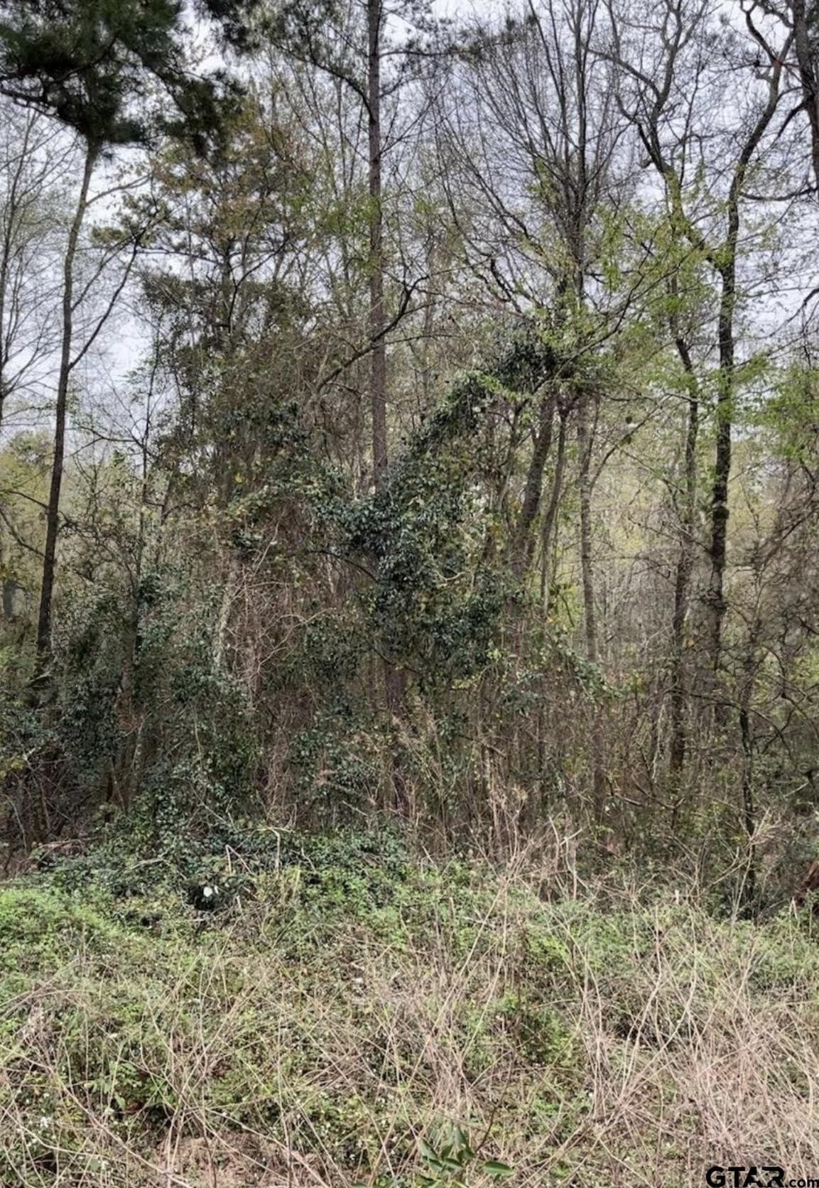 17.47 acres in Smith County - photo 2