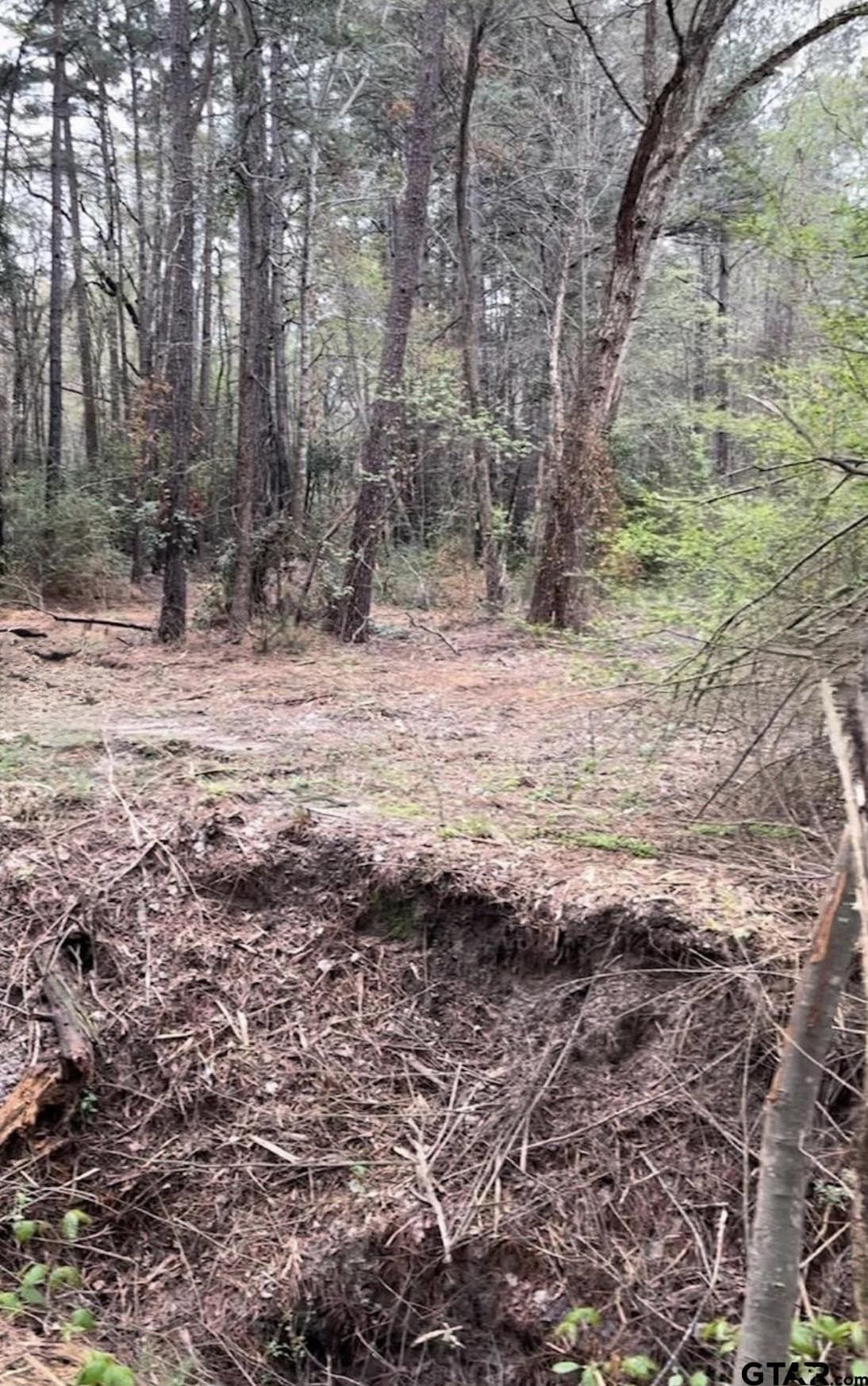 17.47 acres in Smith County - photo 11